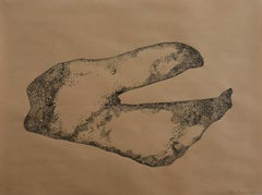 Anamorphia N4. Works on paper