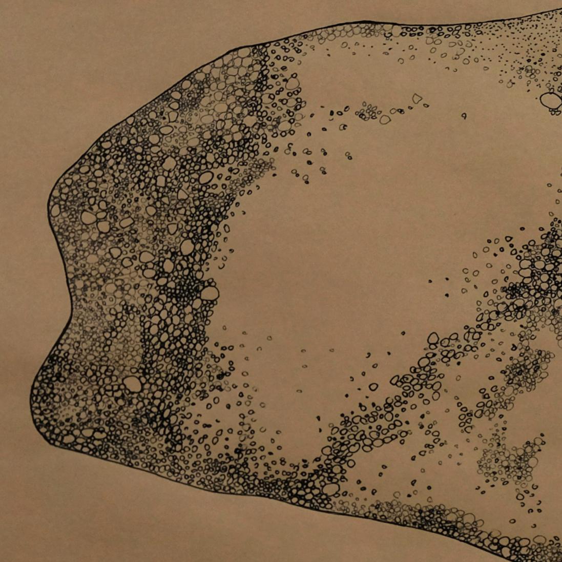Anamorphia N4. Works on paper - Brown Abstract Drawing by Rita Alaoui