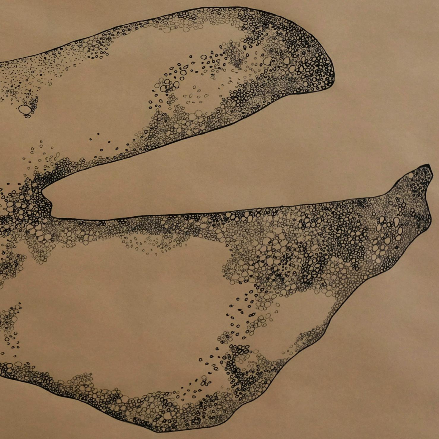 Anamorphia N4. Works on paper - Abstract Art by Rita Alaoui