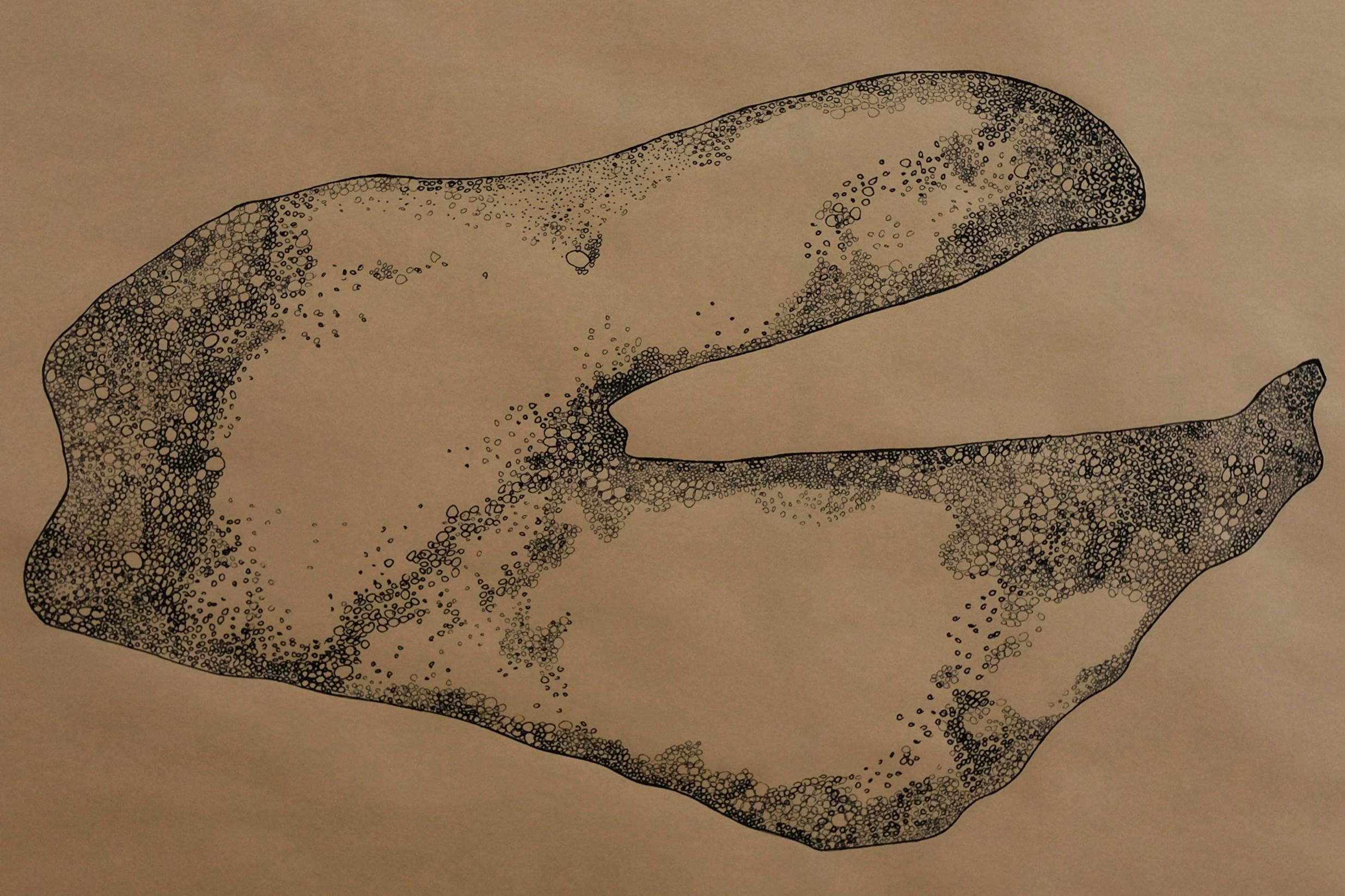 Anamorphia N4. Works on paper - Art by Rita Alaoui