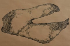 Anamorphia N4. Works on paper