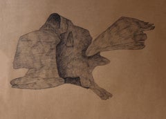 Anamorphia N11. Works on paper