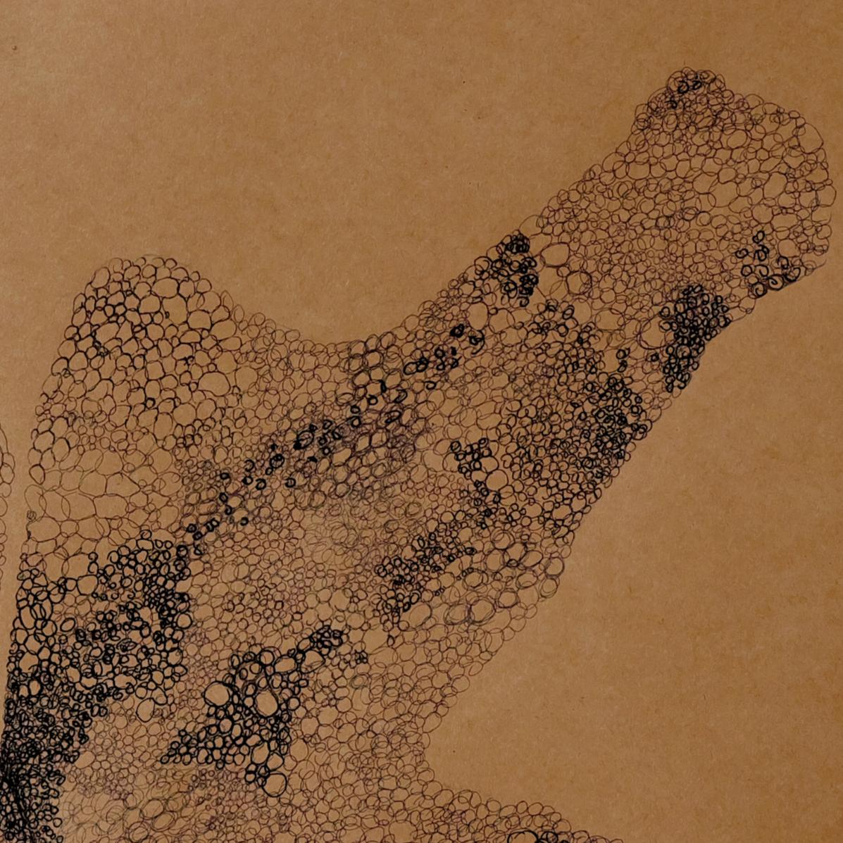 Anamorphia N15. Works on paper For Sale 1