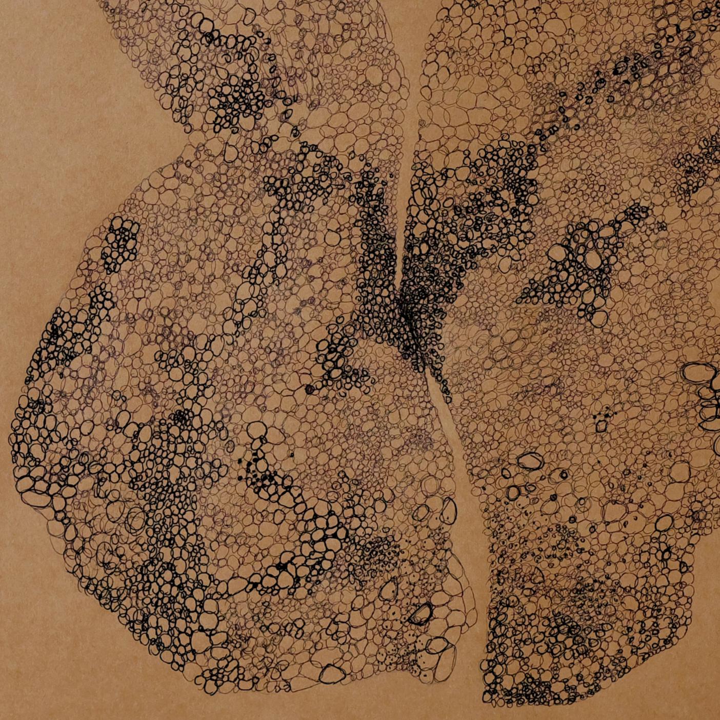 Rita Alaoui continues and transforms the visual language explored in Objets trouvés. Here, the medium shifts: kraft paper lends warmth, ink introduces a more gestural, fluid mark-making, and the forms themselves become less literal, more ethereal.