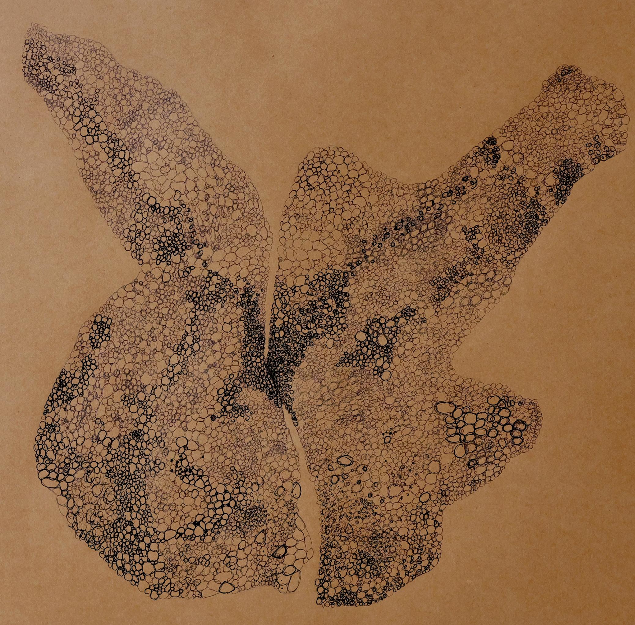 Anamorphia N15. Works on paper - Abstract Art by Rita Alaoui