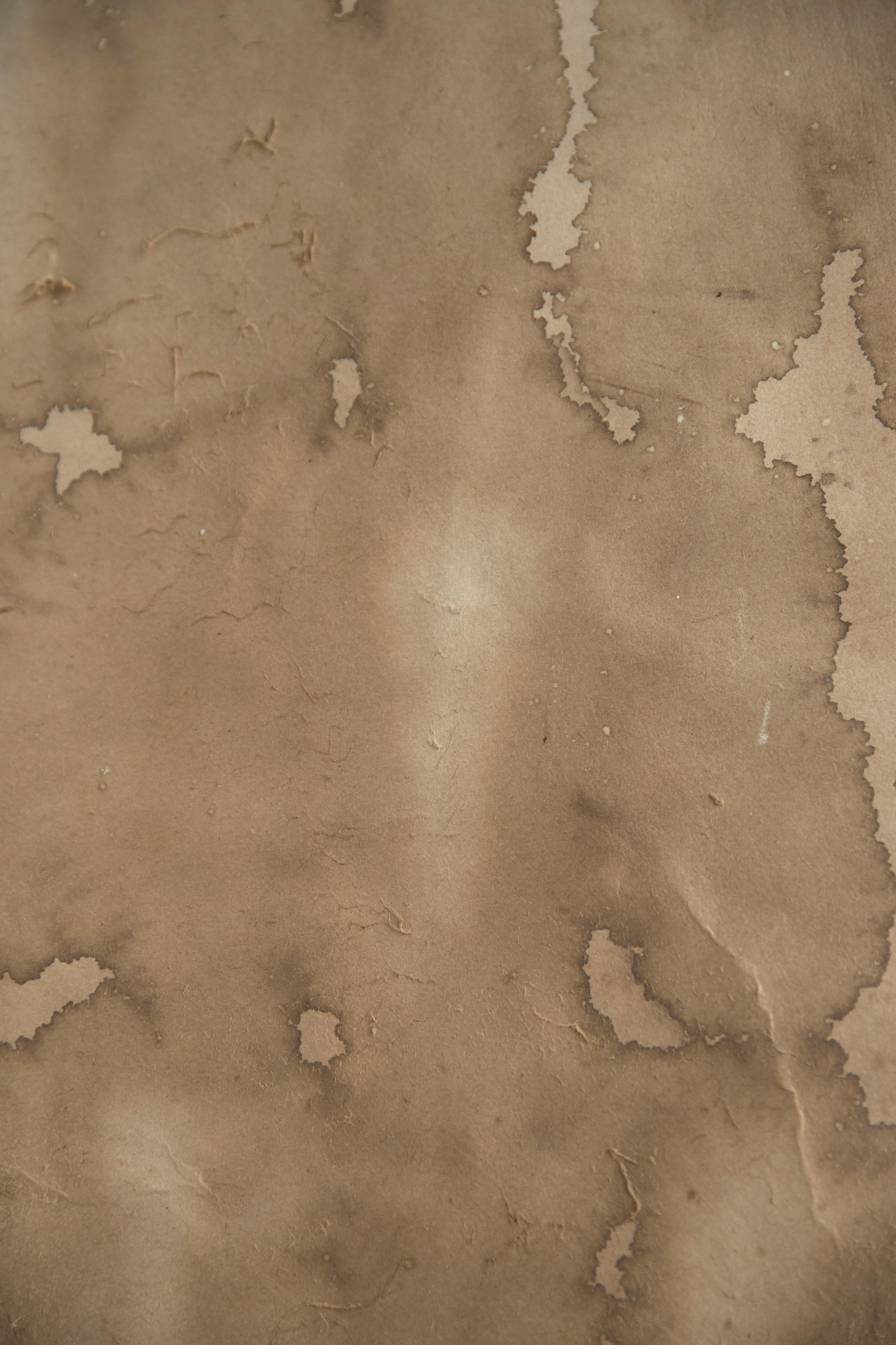 Traces of lived experiences appear in On Hansen's works, exploring the possibilities of formal abstraction and seeking an organic experience between space and time through painting and photography.
“There is no longer a single idea that explains