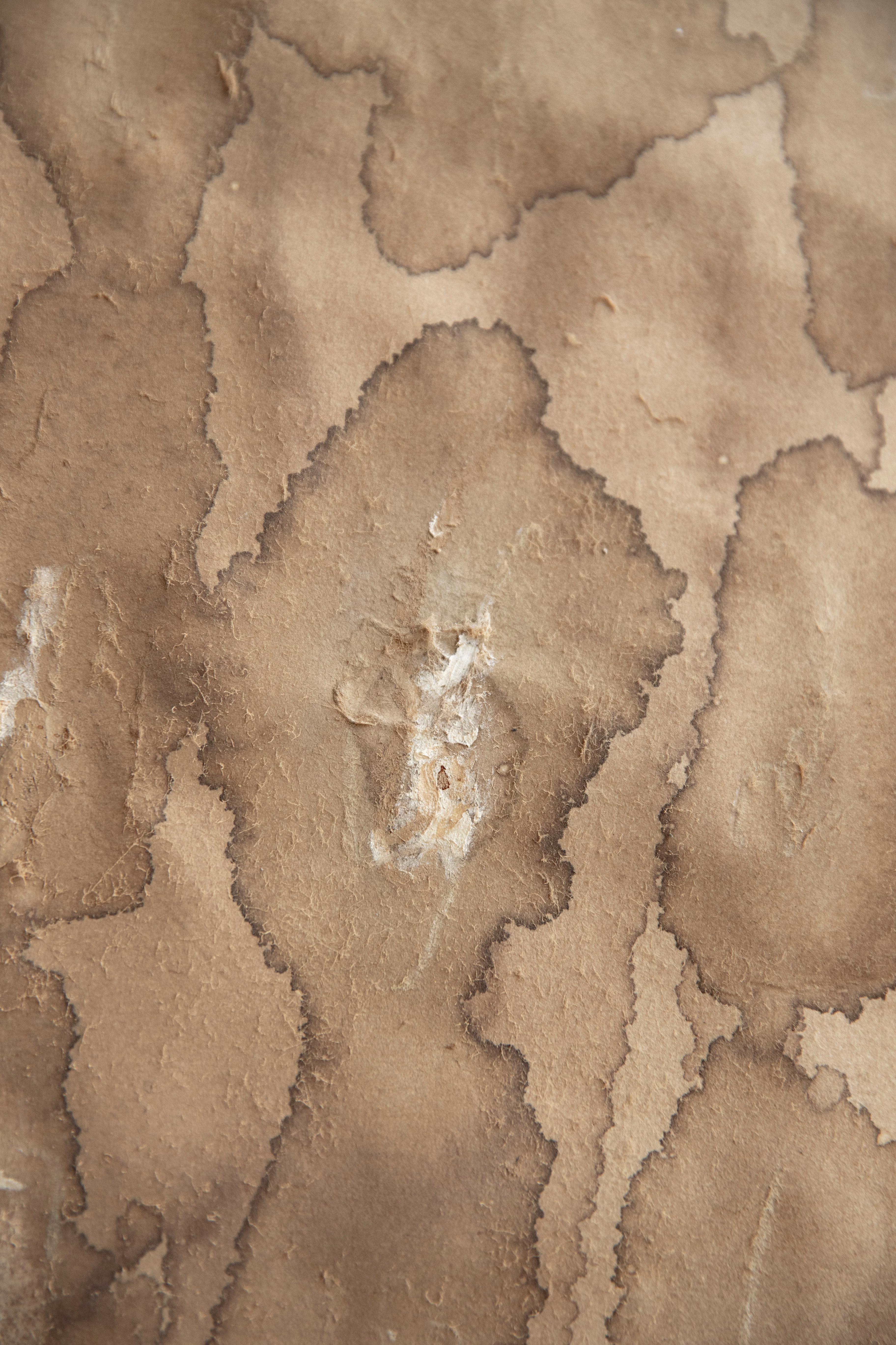 Consistency and existence. Abstract mixed media painting - Brown Abstract Painting by On Hansen