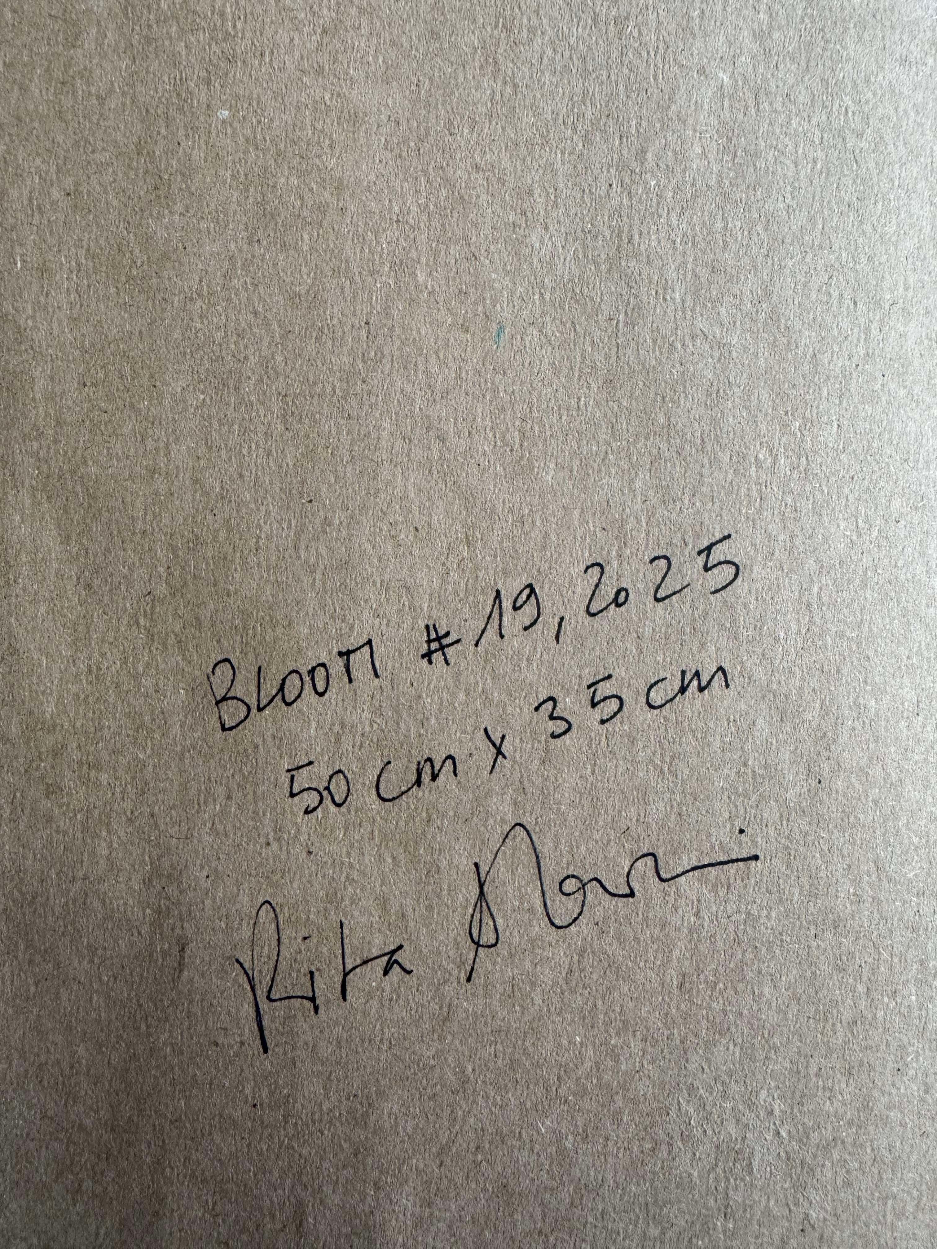 With the Bloom series, Rita Alaoui pursues a motif that silently runs through her entire work: the flower. Present in her practice for over twenty years, it reappears here like a mantra, a repeated pictorial breath that marks the time of creation