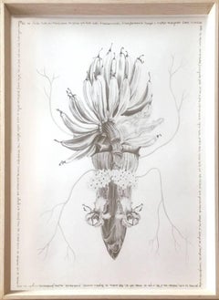 'The Family Tree' Complete Series, Mixed Media Drawings