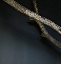 Deseo Insular II, Self Portrait. Limited Edition Nude Color Photograph