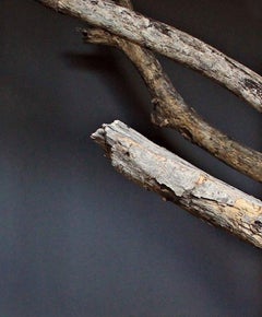 Deseo Insular XIV. Self Portrait.  Limited Edition Nude  Color Photograph F