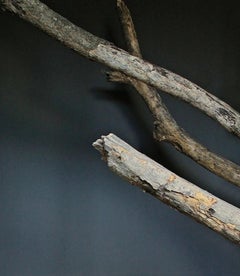 Deseo Insular V. Autoritratto.  Fotografia a colori di nudo in edizione limitata