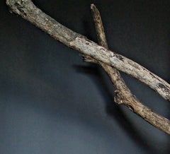Deseo Insular VI. Autoportrait.  Photographie couleur chair en édition limitée