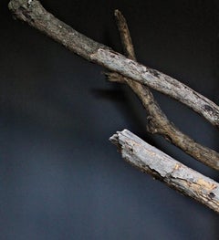 Deseo Insular XIII. Selbstporträt. Limitierte Auflage Farbaktfotografie