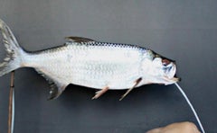 Deseo Insular VIII. Autorretrato. Fotografía desnuda en color de edición limitada