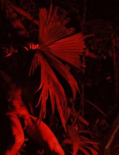 Untitled VI. La Costilla Roja Series. Self Portrait. Limited Edition Color Nude