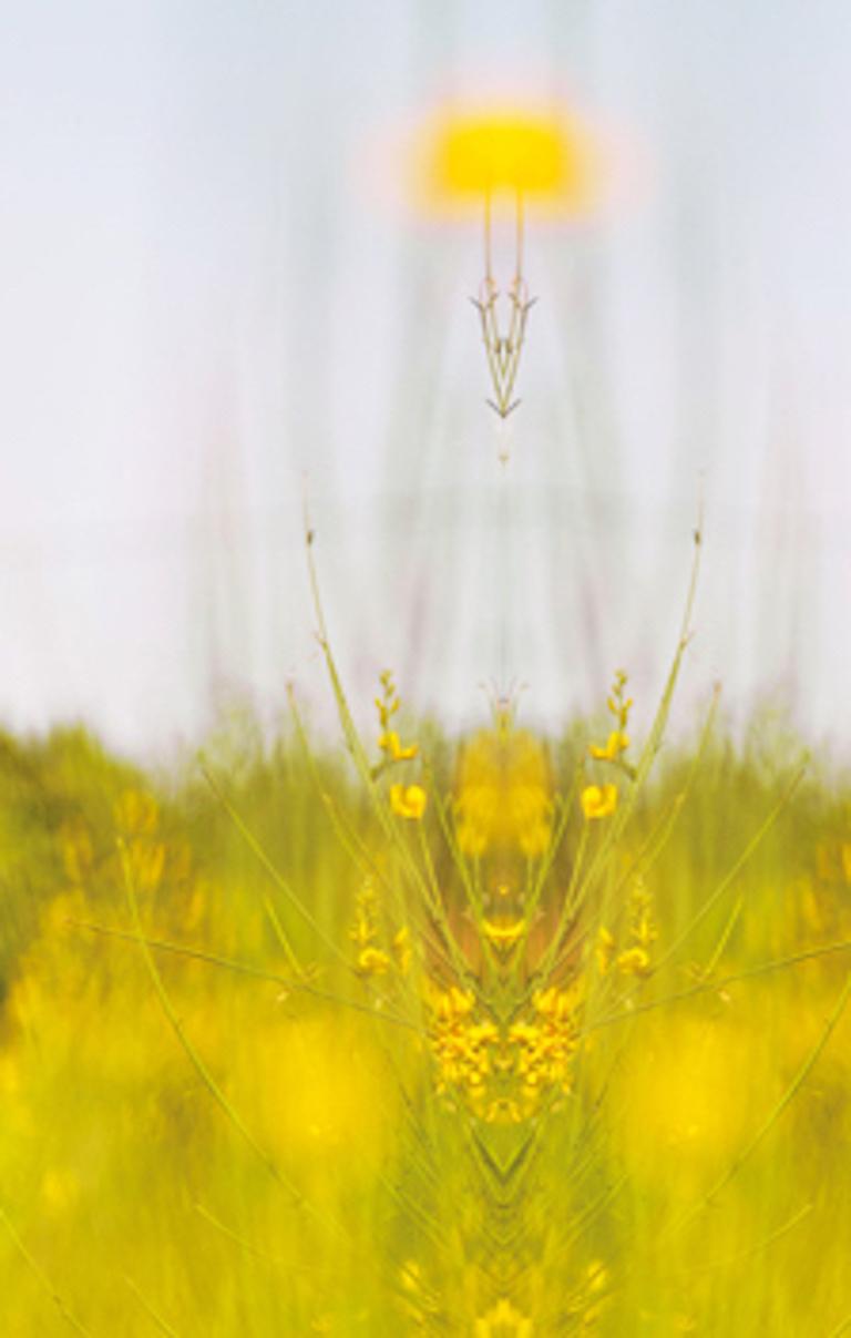 Self Touches #07. Fashion nude limited edition color photograph. - Yellow Nude Photograph by Koray Erkaya