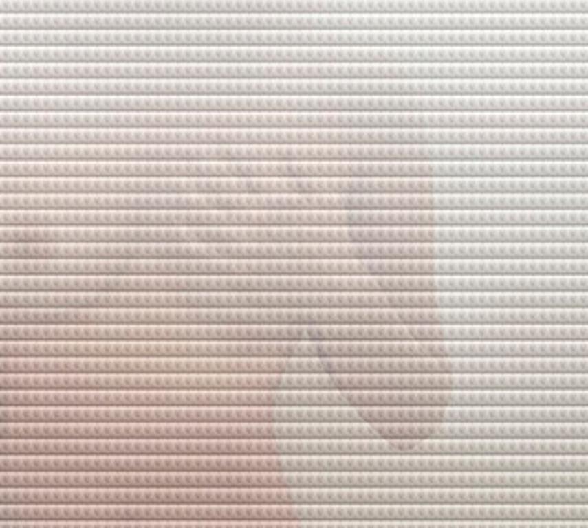 TooLess 7482, 2018 par Koray Erkaya
De la série TooLess
Matériau flexible imprimé sur plexiglas 2 couches différentes et une 3ème couche pour le rétro-éclairage avec un cadre en bois spécial.
Boîte à lumière
Taille de l'image : 63 in. H x 39 in. L