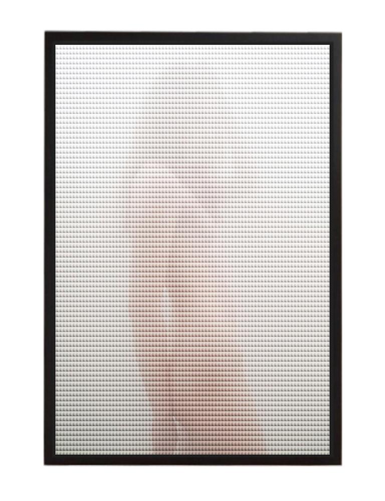 TooLess 4420, 3D Nude Color Photograph.  Framed Lightbox