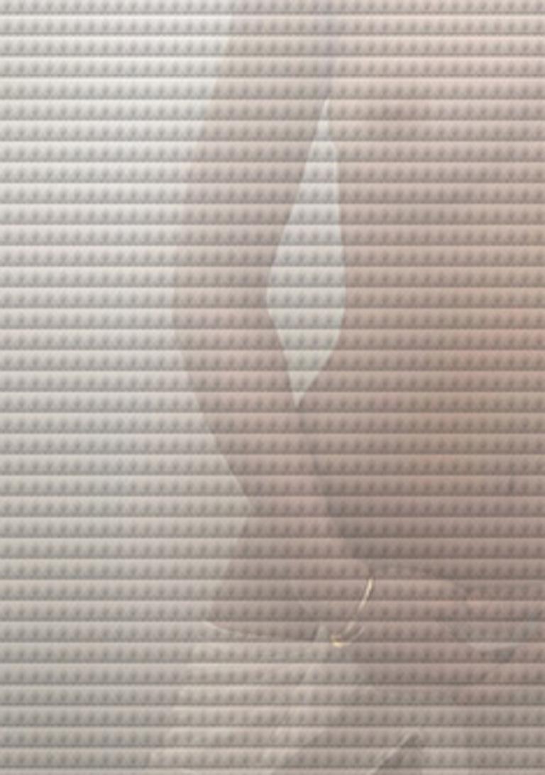 TooLess 5700, Nackt. Farbfotografie auf Museums-Plexiglas montiert  (Zeitgenössisch), Photograph, von Koray Erkaya