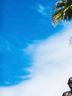 Why Not From Iconic Series, Medium Size