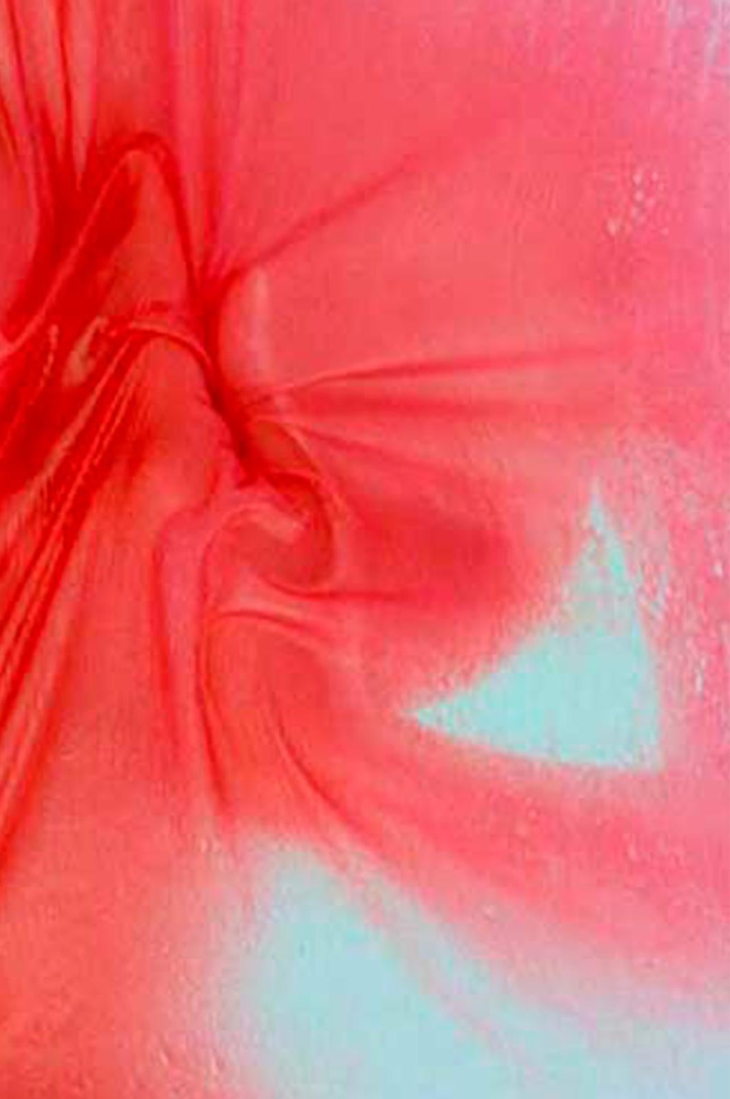 Les Voiles. Limited Edition Photograph - Red Nude Photograph by Uwe Ommer