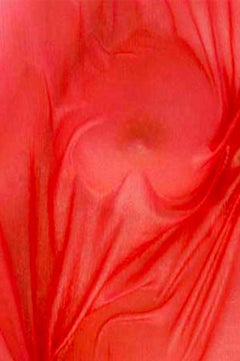 Les Voiles. Fotografia in edizione limitata