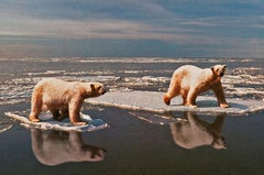 Alaska, From the Mani- Cartes Postales series.