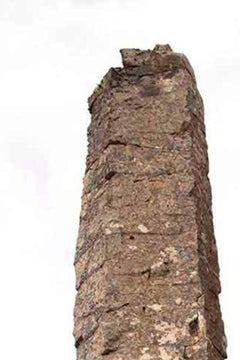 Marise Naturaleza. Fotografía de edición limitada