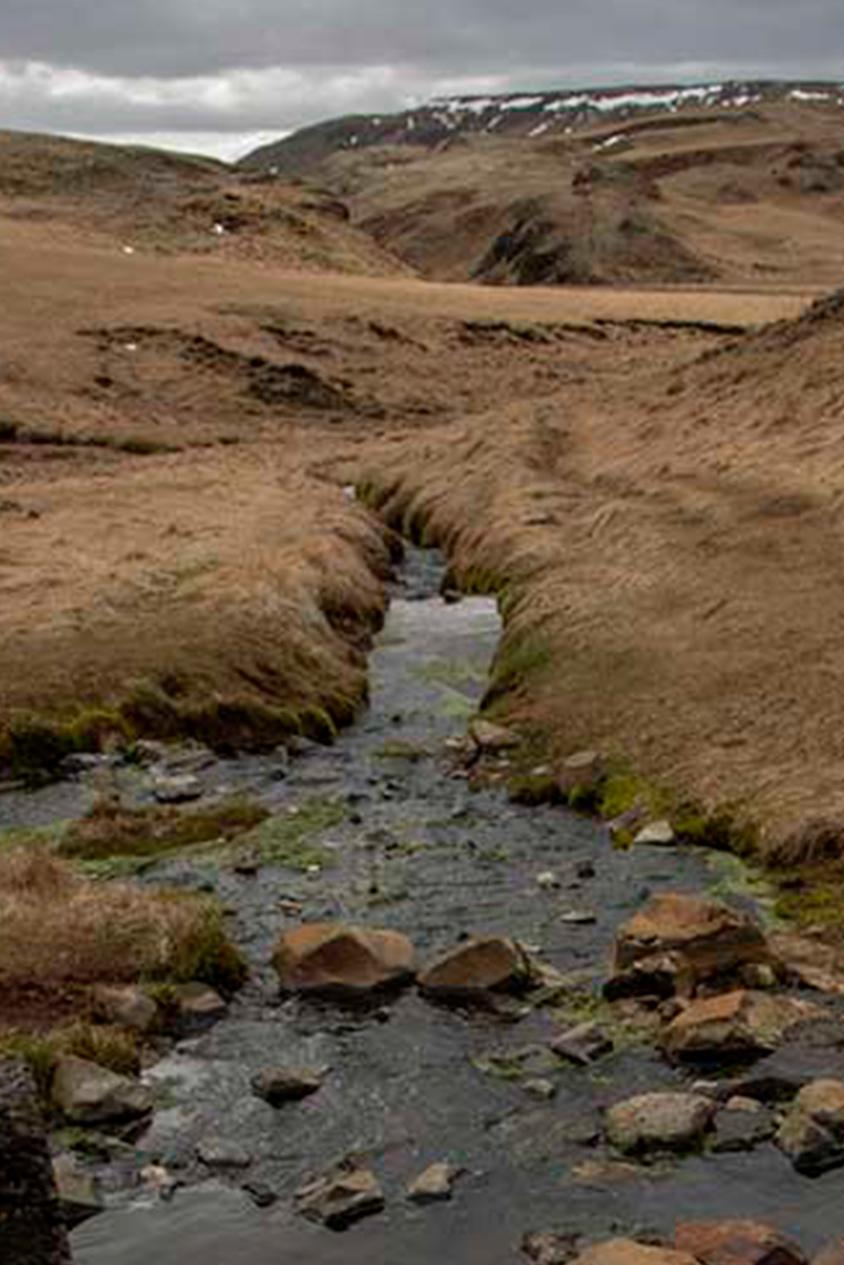Marise Naturaleza.  Fotografía de edición limitada - Photograph de Uwe Ommer