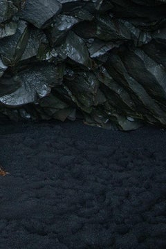 Marise Nature.  Limited Edition Photograph