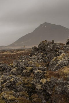 Marise Nature.  Limited Edition Photograph