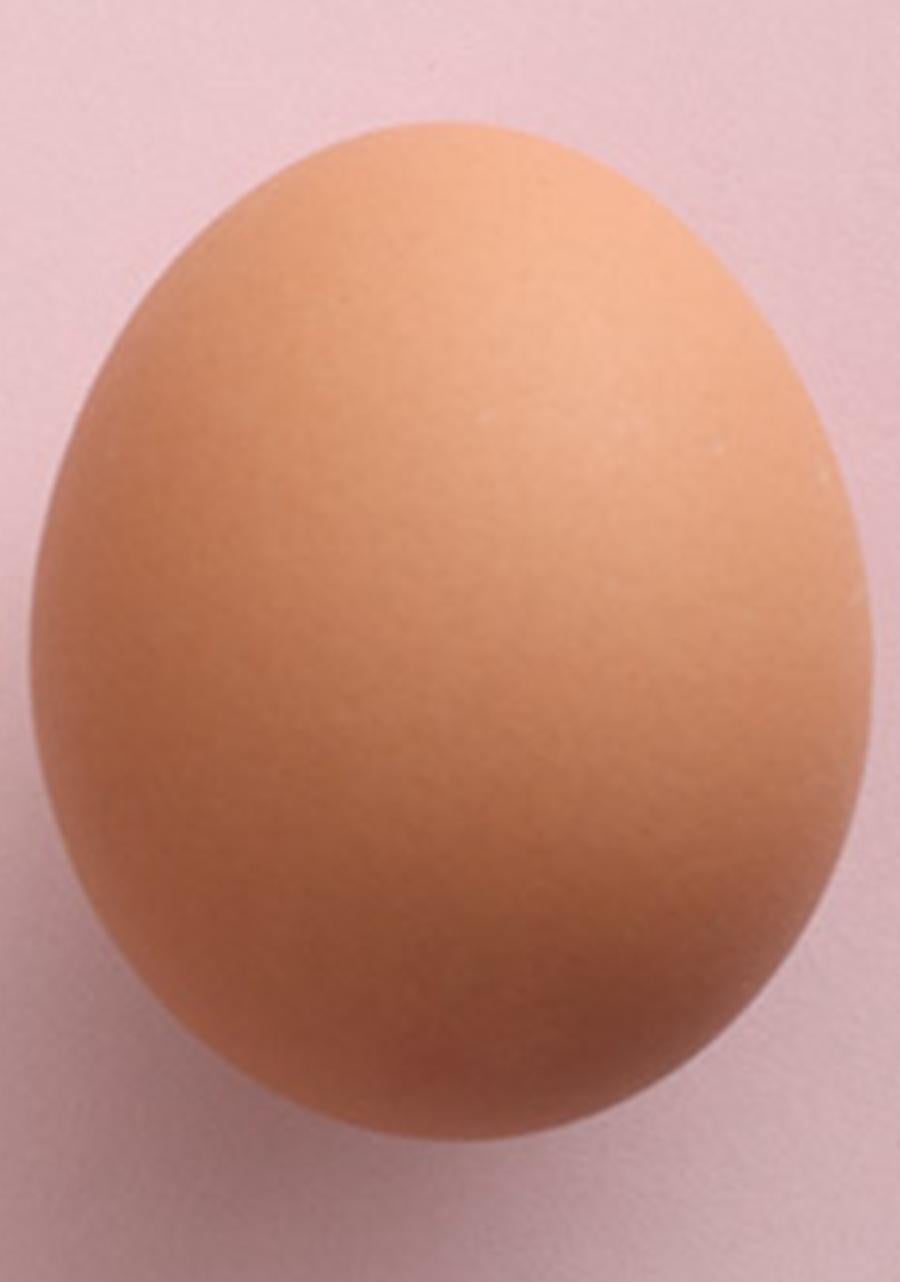 Egg, from the Immaculate series. Minimalistic Limited edition Color Photograph For Sale 1