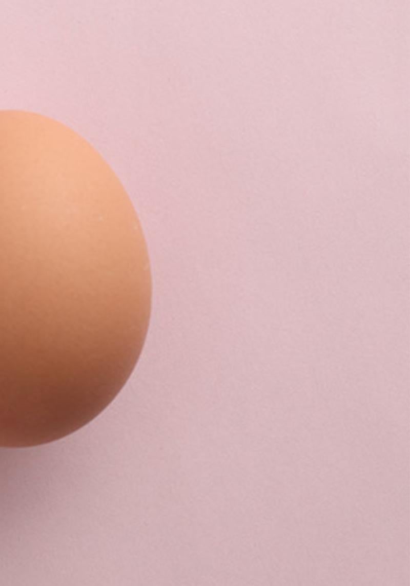 Egg, from the Immaculate series. Minimalistic Limited edition Color Photograph For Sale 4