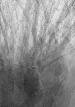 Untitled, Lullaby Series. Abstract. Limited edition B&W photograph