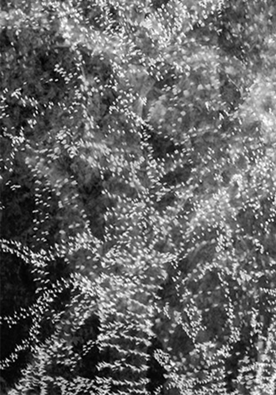 Chaos, série Lullaby. Paysage. Photographie B&W en édition limitée - Noir Black and White Photograph par Salvatore Arnone