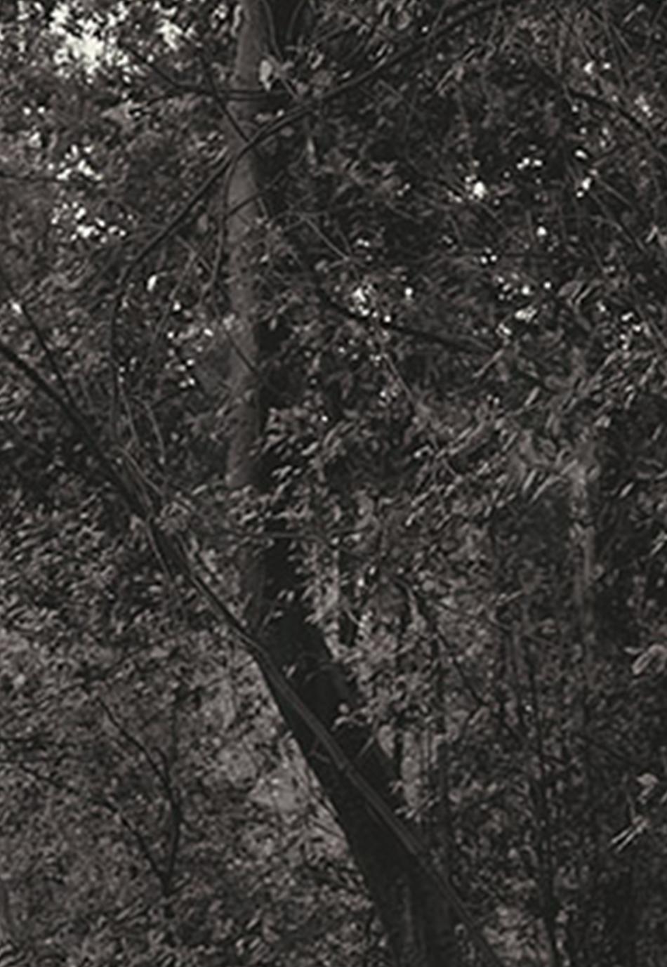 Statue, aus der Serie „The Labyrinth“. Landschafts- und Skulptur. Schwarzweiß-Fotografie – Photograph von Salvatore Arnone