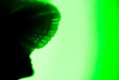 Back Lighting. Green