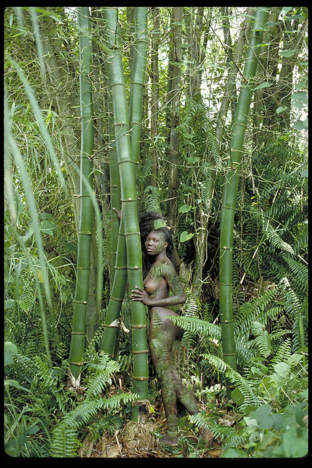 Uwe Ommer Nude Photograph - Women and Trees I. Limited Edition Color photograph