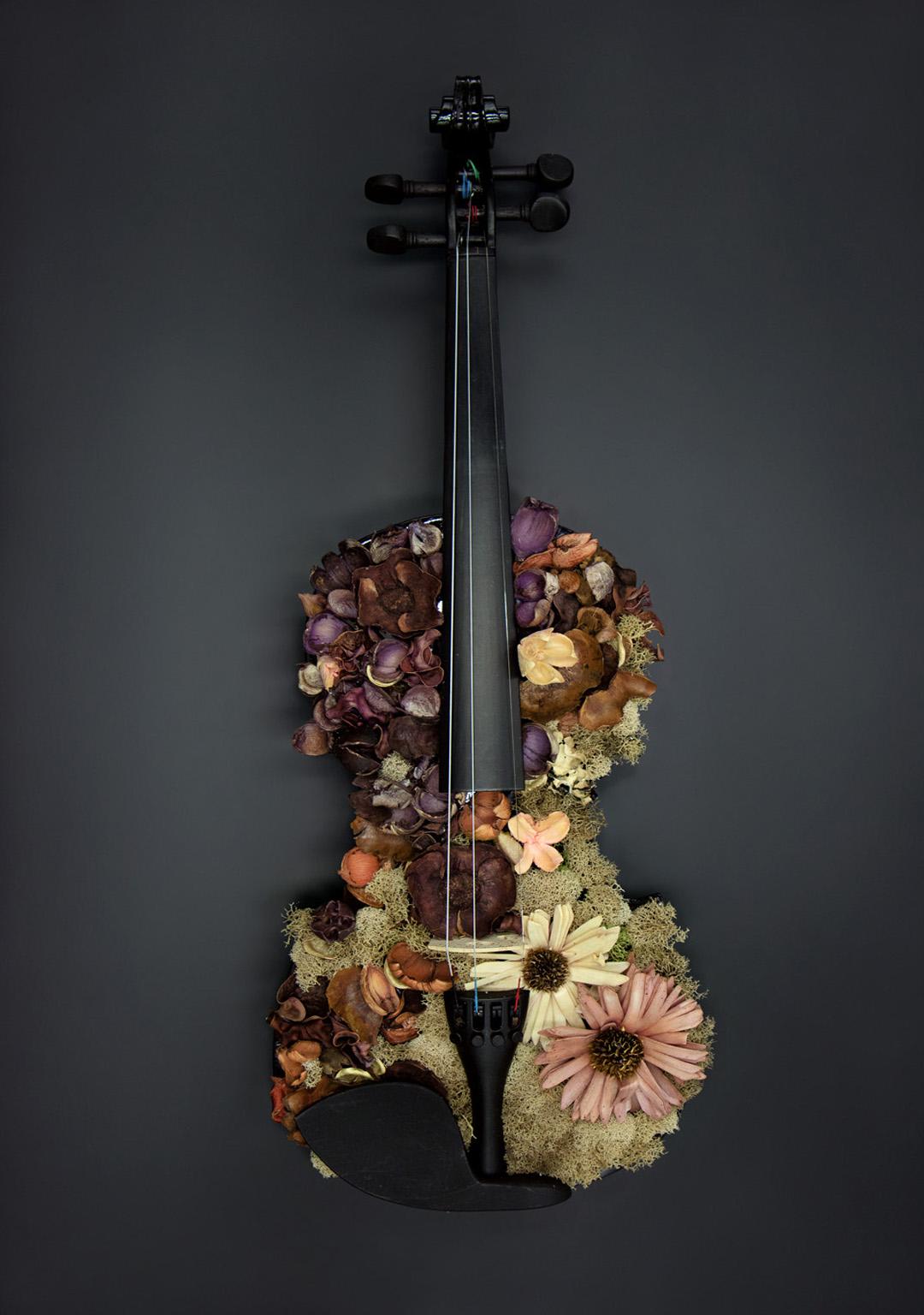 Kevin Krag Still-Life Photograph - Yin. Color Photographs of a Assembled Violins Body Sculpture