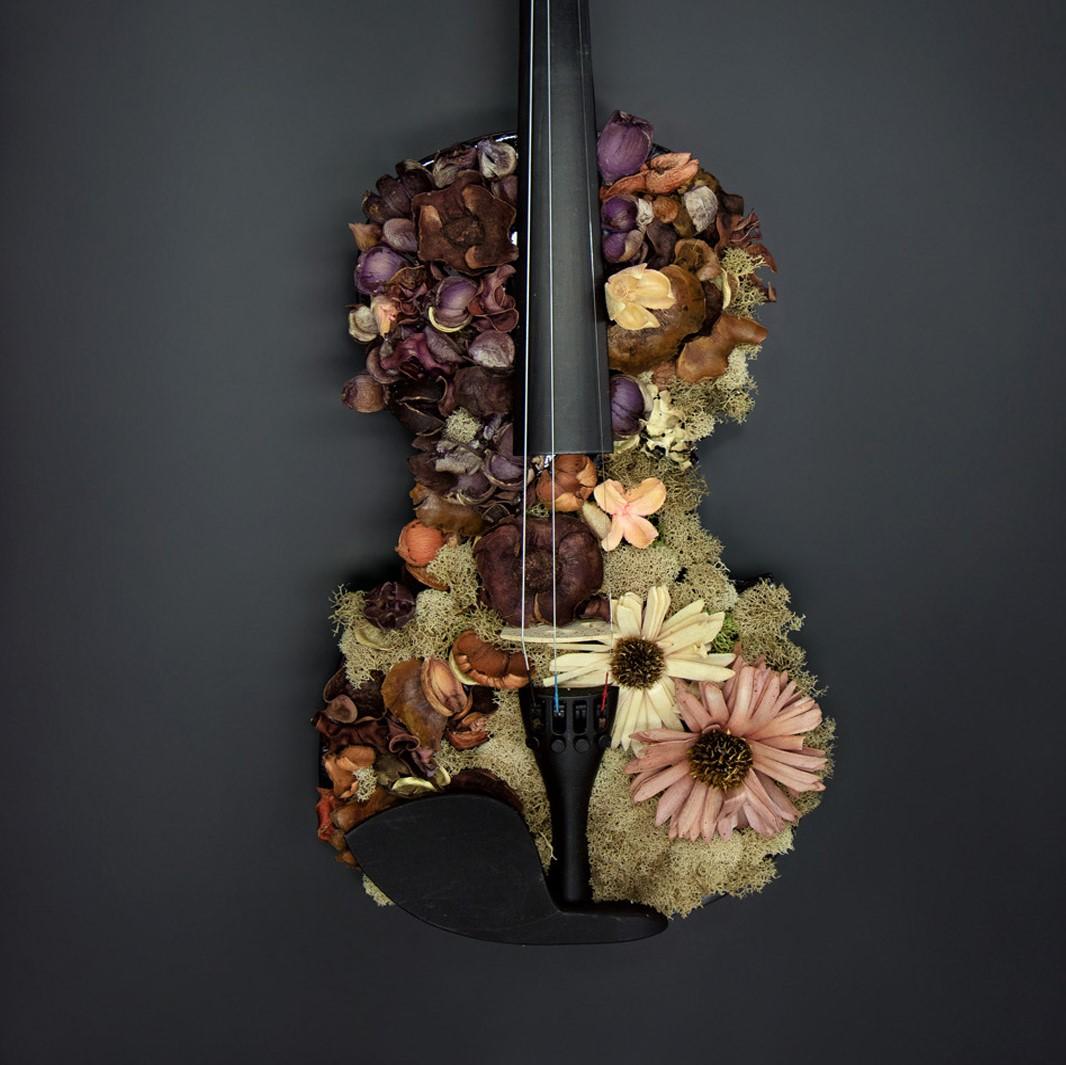 Yin. Color Photographs of a Assembled Violins Body Sculpture - Black Still-Life Photograph by Kevin Krag