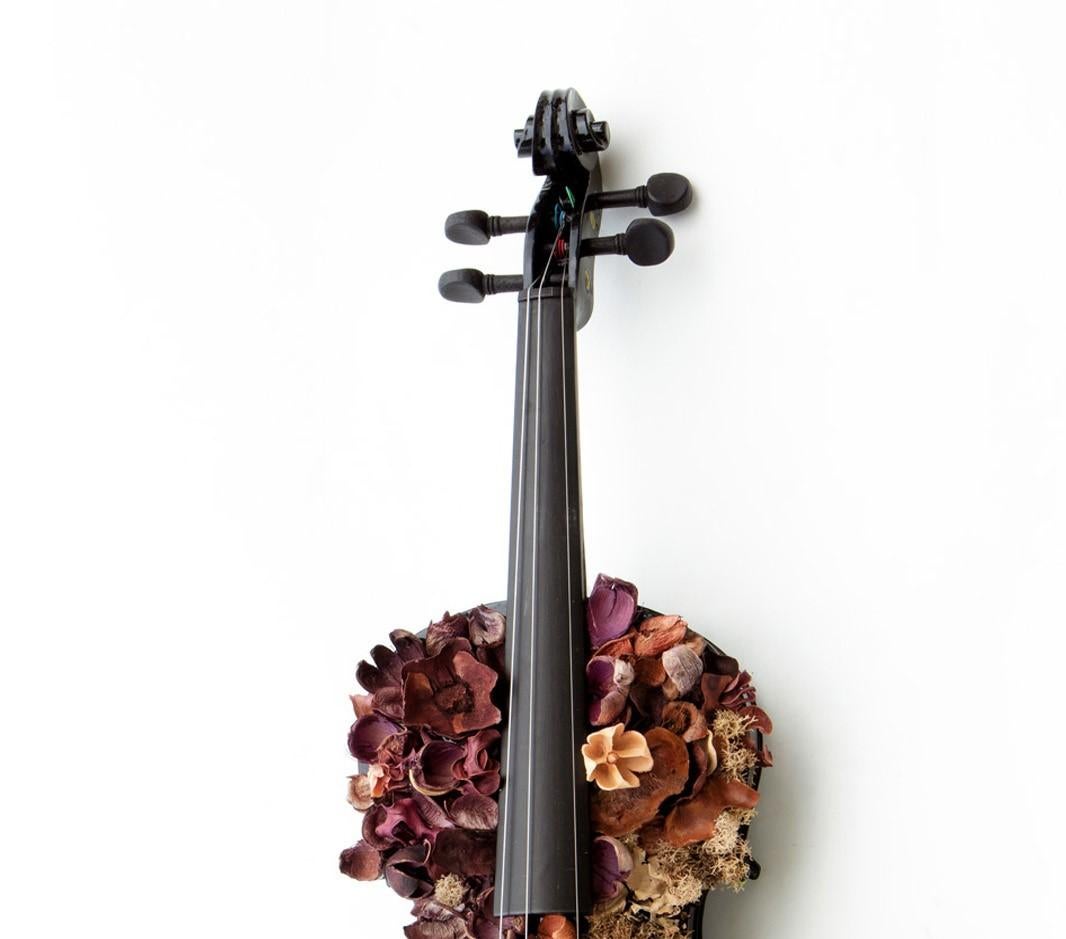 Yang. Color Photographs of a Assembled Violins Body Sculpture - Beige Still-Life Photograph by Kevin Krag
