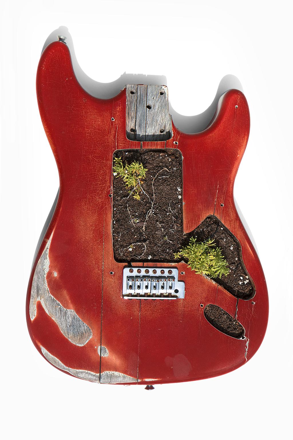 Kevin Krag Color Photograph - Something got me started. Color photograph of a assembled guitars body Sculpture