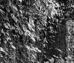 Cuetzalan, Silber-Gelatine-Druck