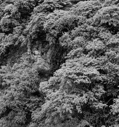 Ituango, Silver Gelatin Print