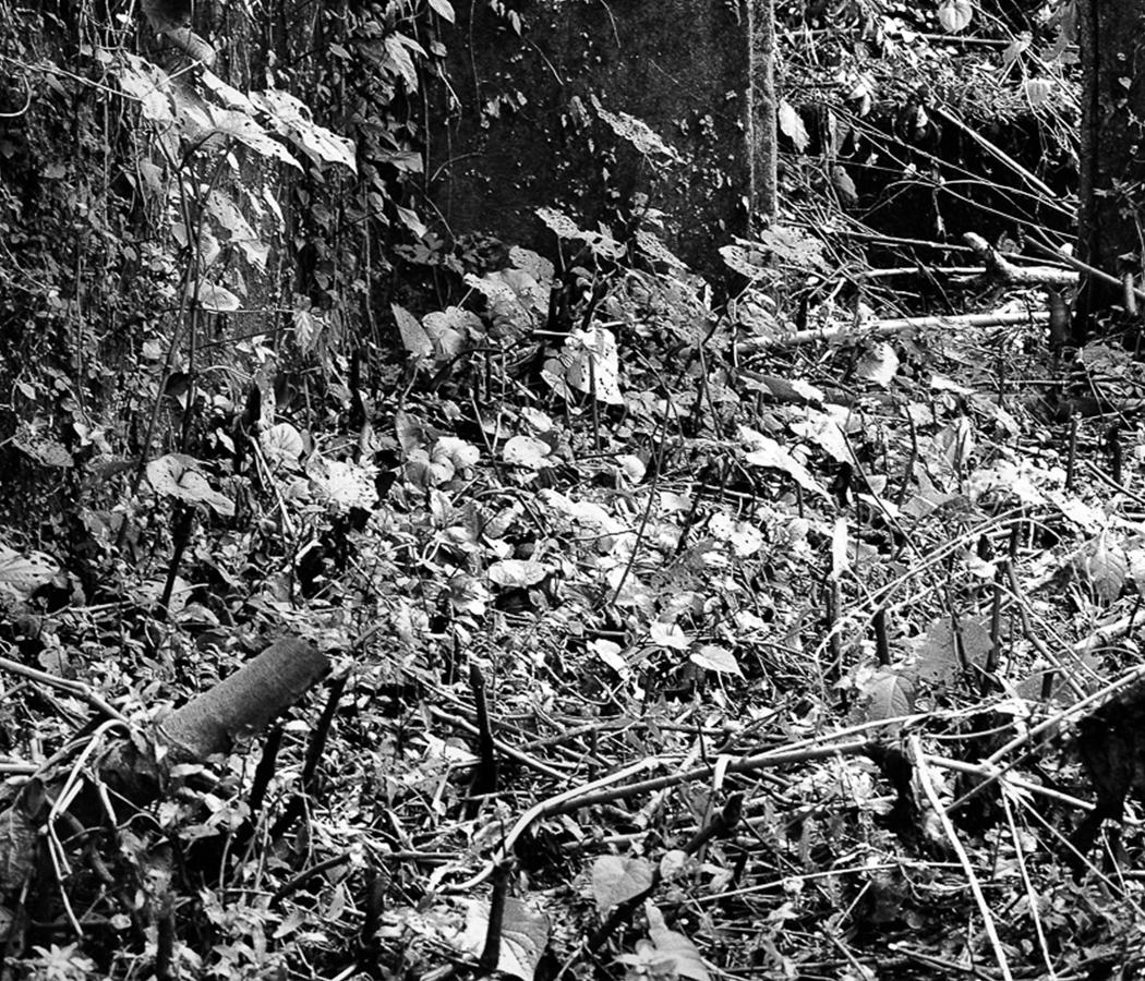 Cuetzalan, Pigmentdrucke (Schwarz), Landscape Photograph, von Miguel Winograd 