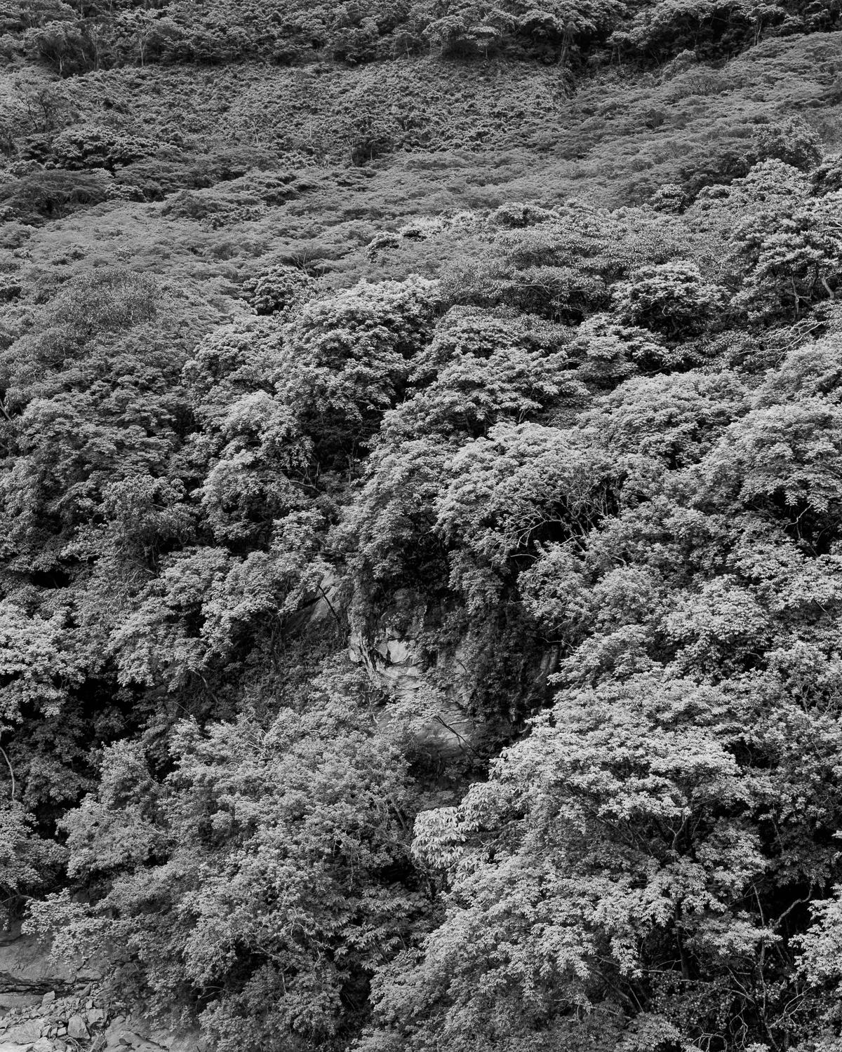 Landscape Photograph Miguel Winograd  - Ituango, Impressions pigmentaires