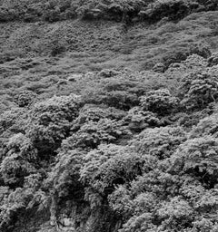 Ituango, Impresiones pigmentarias