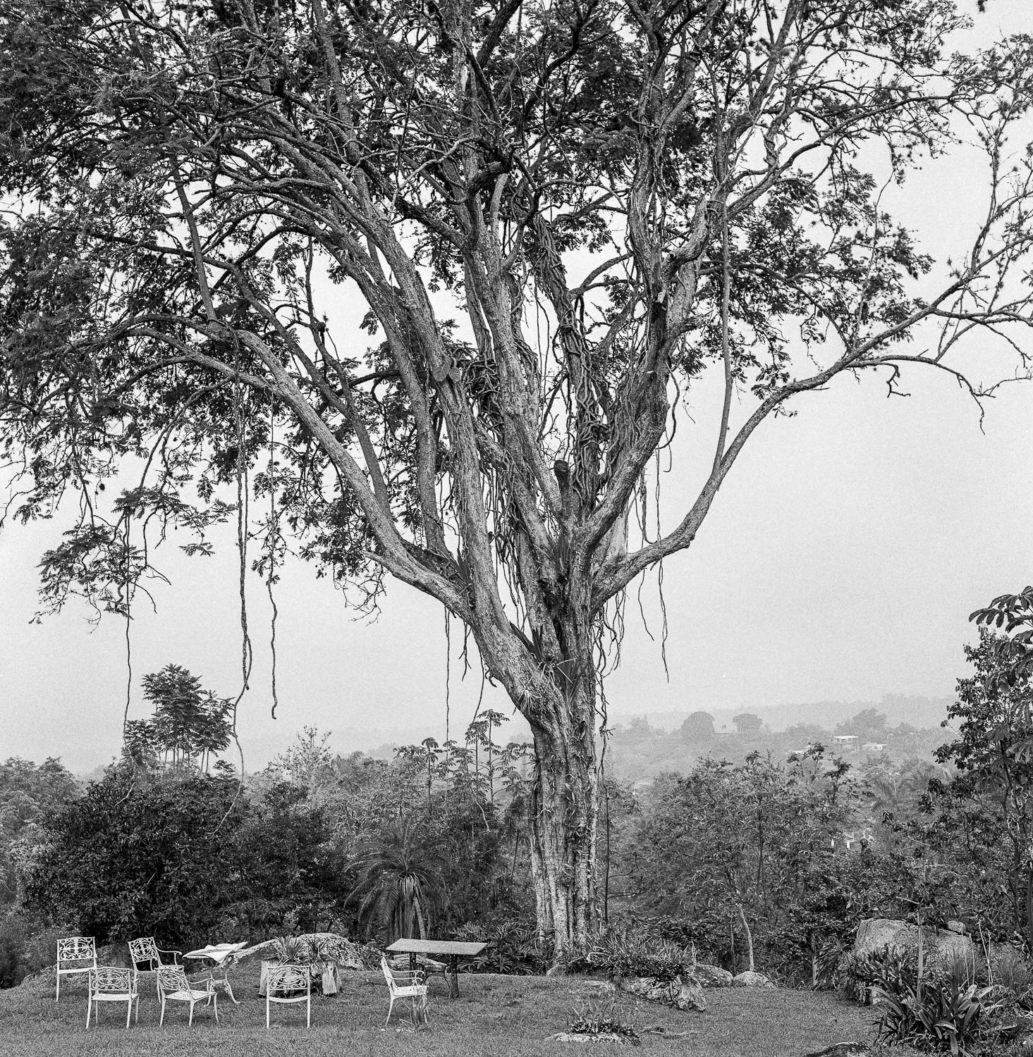 Black and White Photograph de Miguel Winograd  - Fusagasugá, Impresiones pigmentarias