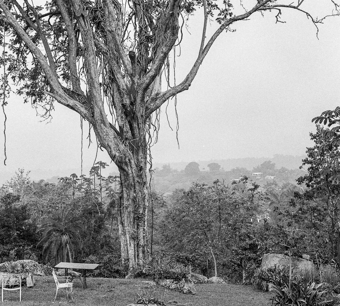 Fusagasugá, Impresiones pigmentarias - Black and White Photograph Gris de Miguel Winograd 